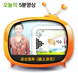 금상첨화 (錦上添花)
