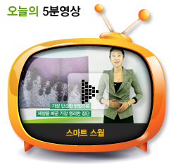 스마트 스웜