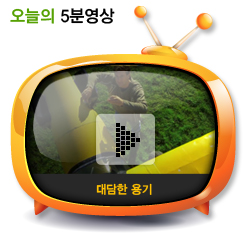 대담한 용기