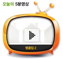 땅콩집2