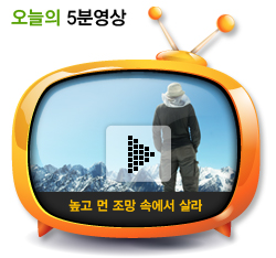 높고 먼 조망 속에서 살라