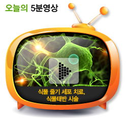 식물 줄기 세포 치료, 식물태반 시술
