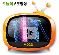 척추질환