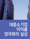 대중소기업 이익률 양극화의 실상