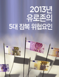 2013년 유로존의 5대 잠복 위협요인
