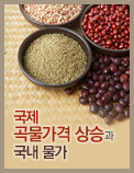 국제 곡물가격 상승과 국내 물가