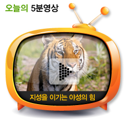 지성을 이기는 야성의 힘