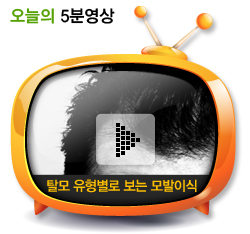 탈모 유형별로 보는 모발이식