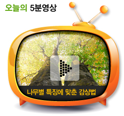 나무별 특징에 맞춘 감상법