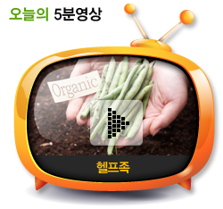 헬프족