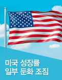 미국 성장률 일부 둔화 조짐