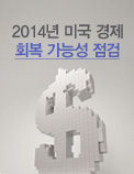 2014년 미국 경제 회복 가능성 점검