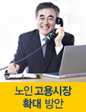 노인 고용시장 확대 방안