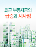 최근 부동자금의 급증과 시사점