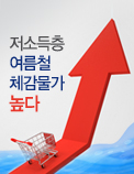 저소득층 여름철 체감물가 높다