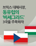 브릭스 대체시장, 동유럽의 ‘비셰그라드’3국을 주목하자