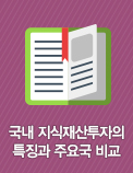국내 지식재산투자의 특징과 주요국 비교