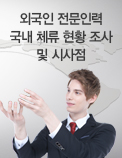 외국인 전문인력 국내 체류 현황 조사 및 시사점