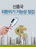 신흥국 외환위기 가능성 점검