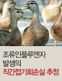조류인플루엔자 발생의 직간접 기회손실 추정