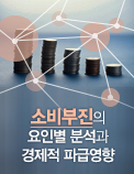소비부진의 요인별 분석과 경제적 파급영향