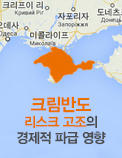 크림반도 리스크 고조의 경제적 파급 영향