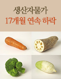 생산자물가 17개월 연속 하락