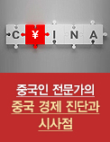 중국인 전문가의 중국 경제 진단과 시사점