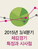 2015년 3/4분기 체감경기 특징과 시사점