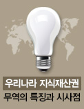 우리나라 지식재산권 무역의 특징과 시사점