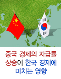 중국 경제의 자급률 상승이 한국 경제에 미치는 영향