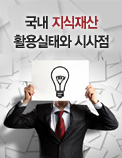국내 지식재산 활용실태와 시사점