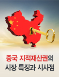 중국 지적재산권의 시장 특징과 시사점