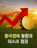 중국경제 동향과 리스크 점검 - 2017년 2분기 중국경제 현황과 시사점