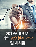 2017년 하반기 기업 경영환경 전망 및 시사점