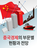 중국경제의 부문별 현황과 전망