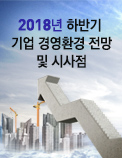 2018년 하반기 기업 경영환경 전망 및 시사점