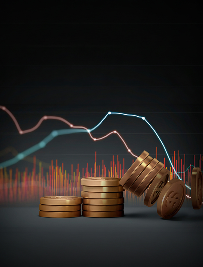 다섯 마리 그레이 스완(Gray Swan), 그 그림자가 드리운다 - 체계적 위험(Systematic Risk) 충격에 선제적으로 대비하자